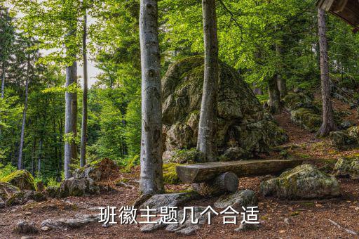 班徽主题几个合适