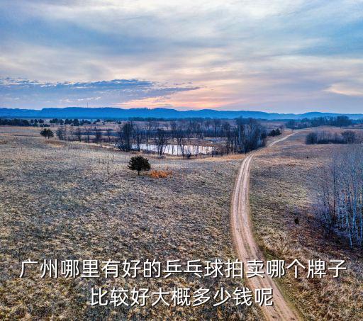  广州哪里有好的乒乓球拍卖哪个牌子比较好大概多少钱呢