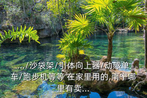 .../沙袋架/引体向上器/动感单车/跑步机等等 在家里用的,南宁哪里有卖...