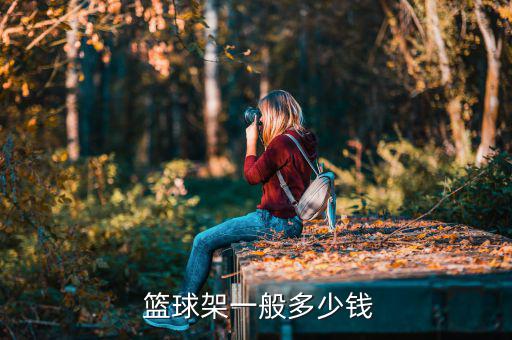  篮球架一般多少钱