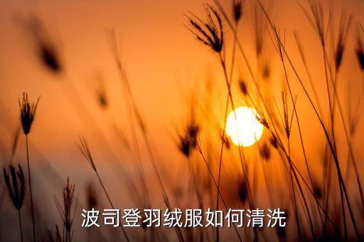  波司登羽绒服如何清洗