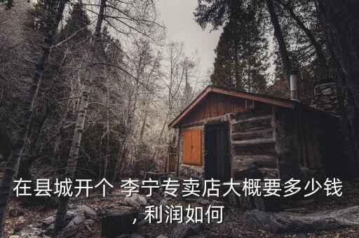 在县城开个 李宁专卖店大概要多少钱, 利润如何