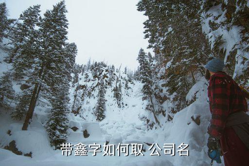 带鑫字如何取 公司名