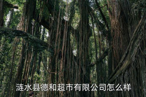 涟水县德和超市有限公司怎么样