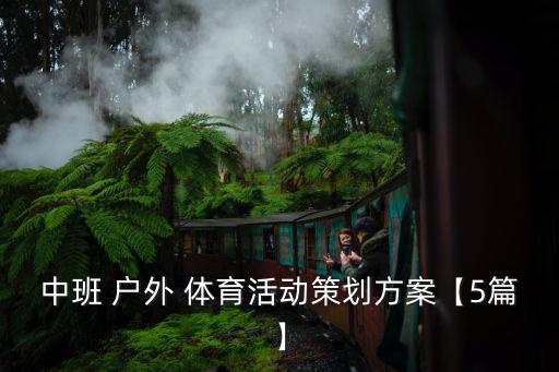 幼儿园自制户外体育器材方案
