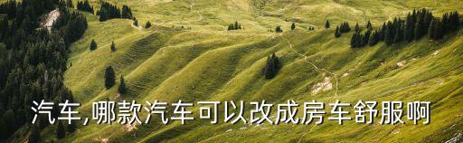 汽车,哪款汽车可以改成房车舒服啊
