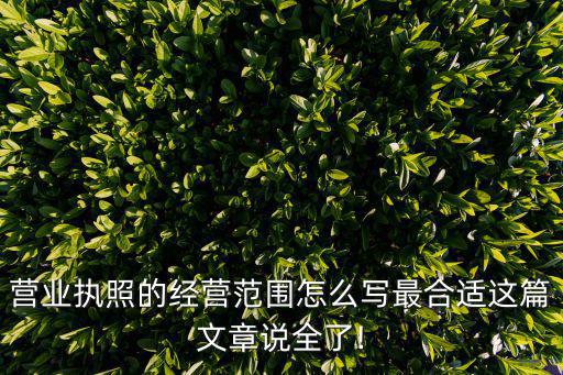 营业执照的经营范围怎么写最合适这篇文章说全了!
