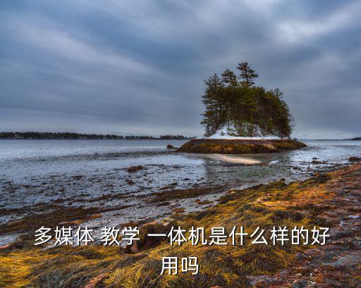  多媒体 教学 一体机是什么样的好用吗