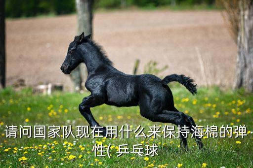请问国家队现在用什么来保持海棉的弹性( 乒乓球
