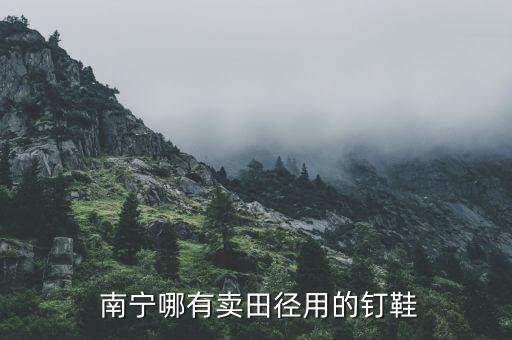  南宁哪有卖田径用的钉鞋