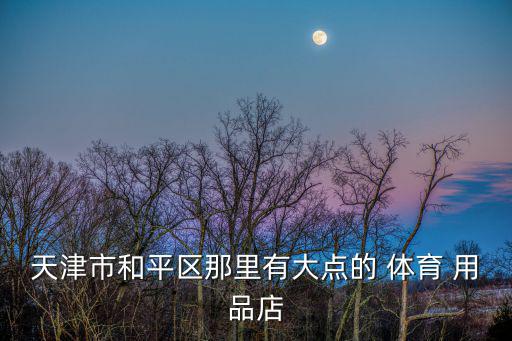 专门卖体育用品的店有哪些