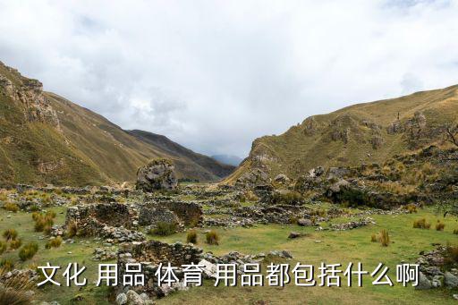 买的体育用品做哪个类别中,体育用品设备出租属于哪个类别