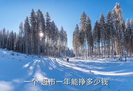 一个 超市一年能挣多少钱