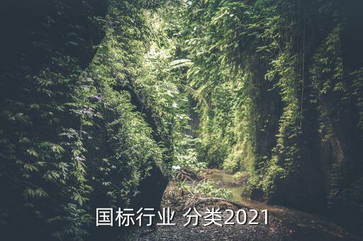 行业分类中体育用品算什么