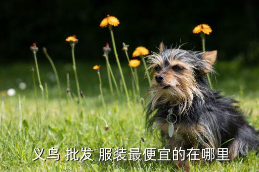 义乌5一10元服装批发女装