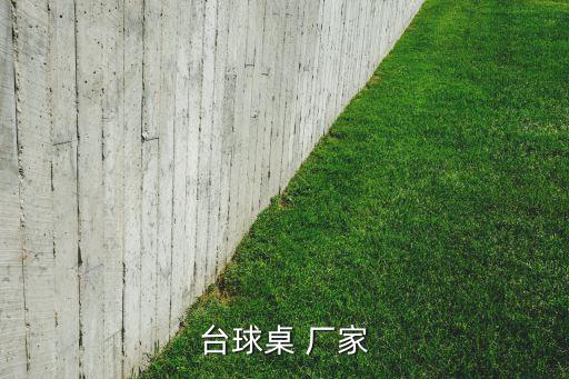 台球桌 厂家