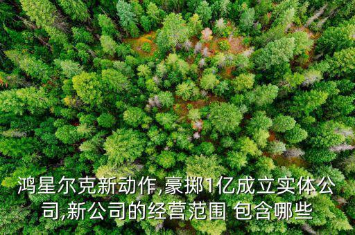 鸿星尔克新动作,豪掷1亿成立实体公司,新公司的经营范围 包含哪些