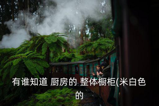 整体厨房清洁,樱花整体厨房