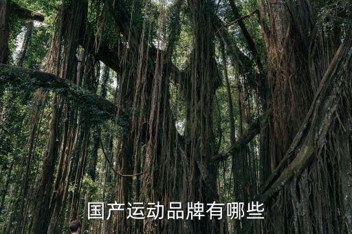国产运动品牌有哪些