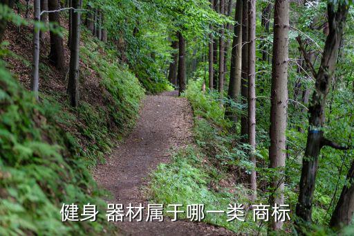 健身 器材属于哪一类 商标