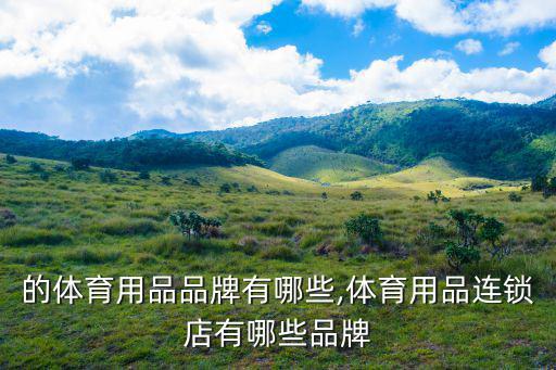 降价的体育用品品牌有哪些,体育用品连锁店有哪些品牌