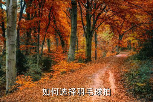 江苏威克多体育用品怎么样,南京威克多体育用品有限公司