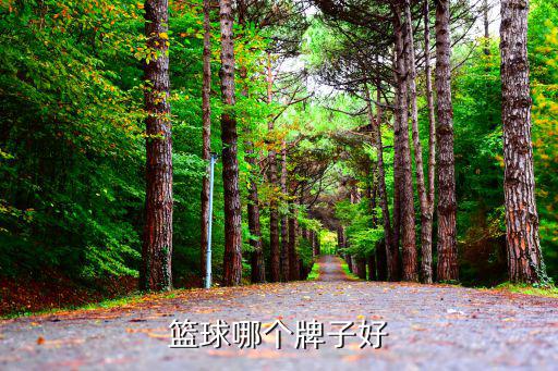 十大体育器材品牌,体育器材一线品牌有哪些