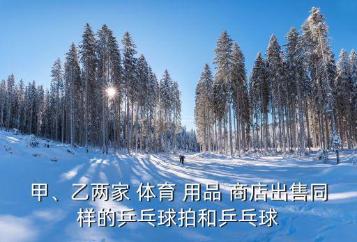 甲、乙两家 体育 用品 商店出售同样的乒乓球拍和乒乓球