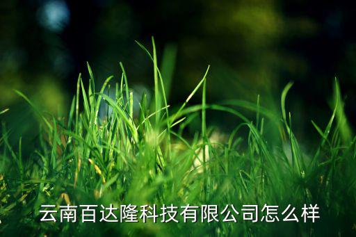  云南百达隆科技有限公司怎么样