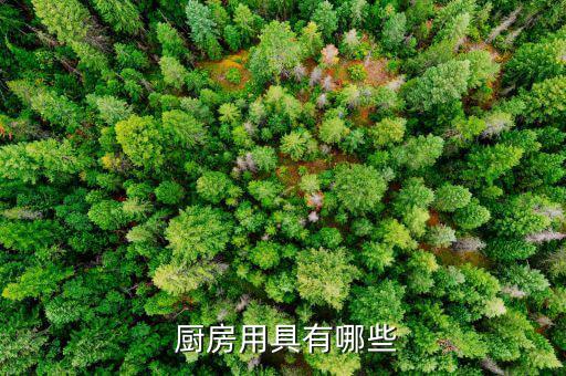  厨房用具有哪些