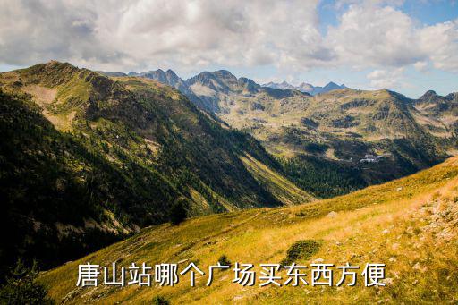 唐山哪里可以买体育用品,唐山力生体育用品有限责任公司