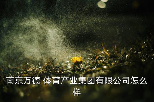 溧水区出口体育用品多少钱