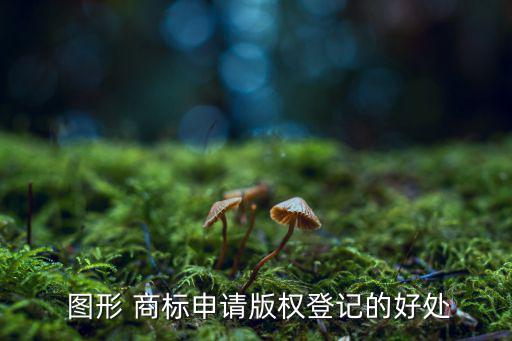  图形 商标申请版权登记的好处
