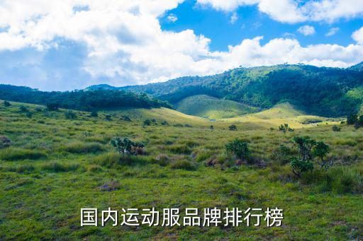体育用品有哪些国产品牌,国产体育用品品牌排行