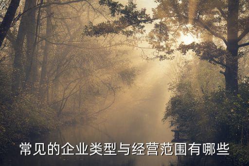 常见的企业类型与经营范围有哪些