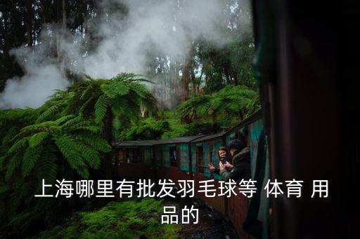 上海卖体育用品的公司叫什么,上海体育用品公司有哪些