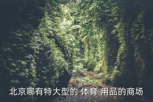 北京哪有特大型的 体育 用品的商场