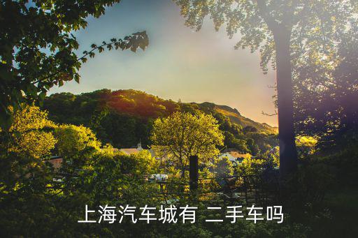  上海汽车城有 二手车吗