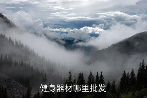 健身器材哪里批发