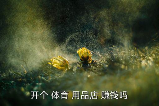 开个 体育 用品店 赚钱吗