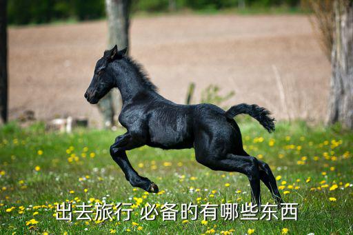 旅游出行必备物品清单,出行必备物品清单