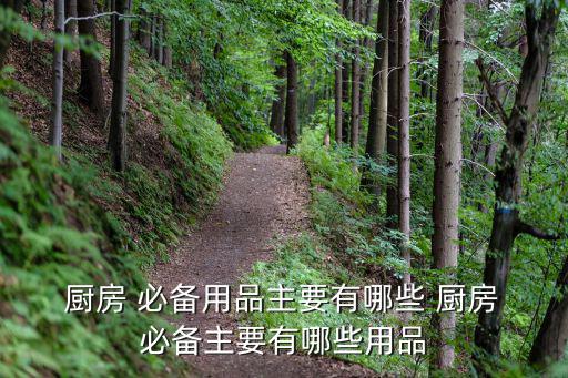 厨房必备工具,厨房必备用品
