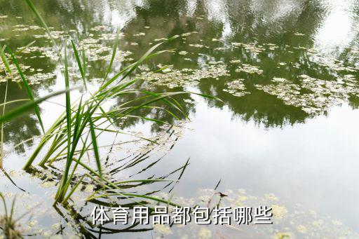 小学体育器材分类五大类是什么