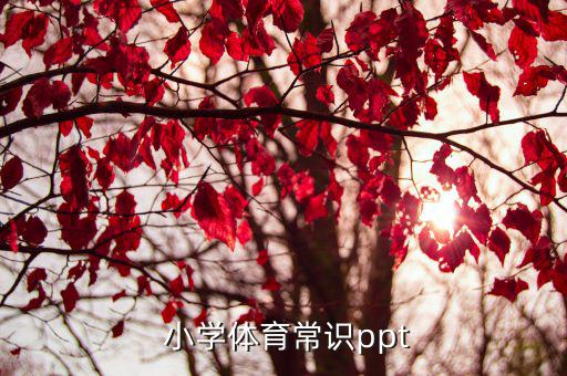 小学体育课视频教学