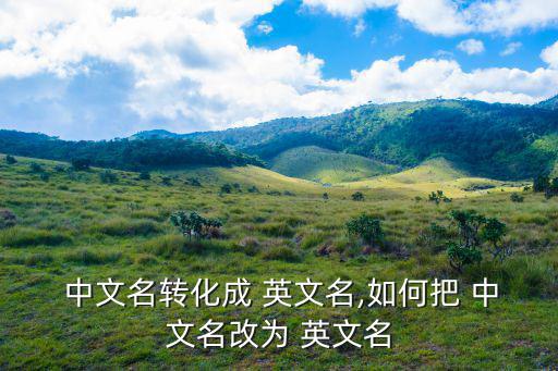 根据中文名取英文名