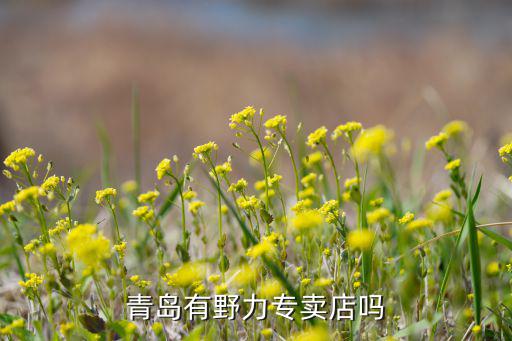阜新县体育用品店电话多少
