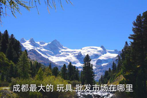 成都最大的 玩具 批发市场在哪里