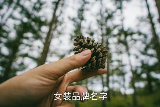广州13行女装品牌,广州十三行高端男装