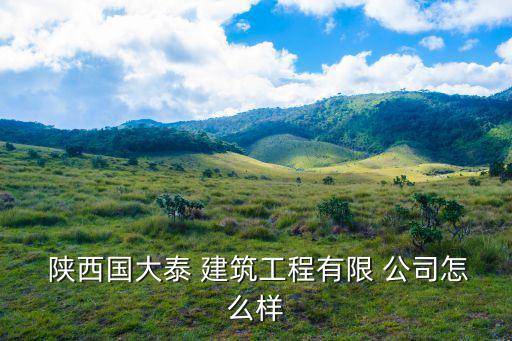  陕西国大泰 建筑工程有限 公司怎么样