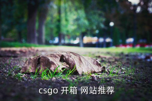  csgo 开箱 网站推荐